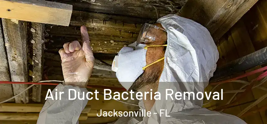  Air Duct Bacteria Removal Jacksonville - FL