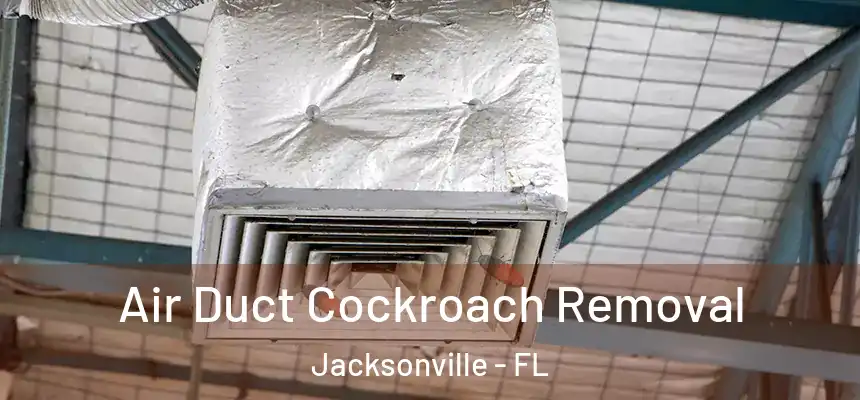 Air Duct Cockroach Removal Jacksonville - FL