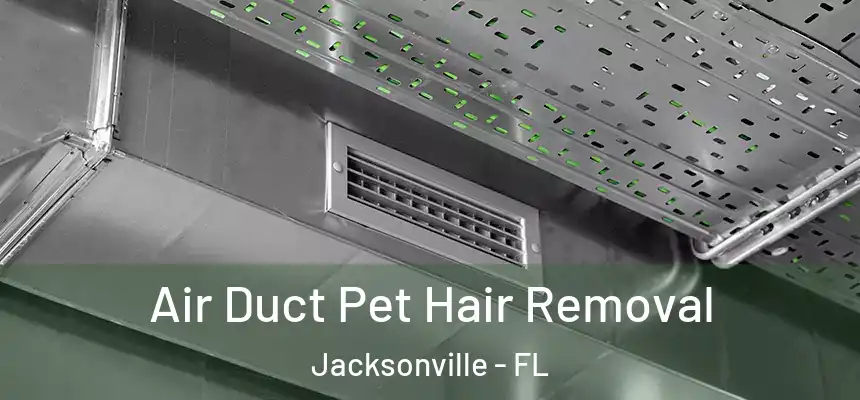  Air Duct Pet Hair Removal Jacksonville - FL
