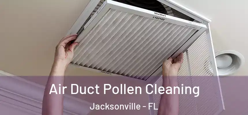  Air Duct Pollen Cleaning Jacksonville - FL