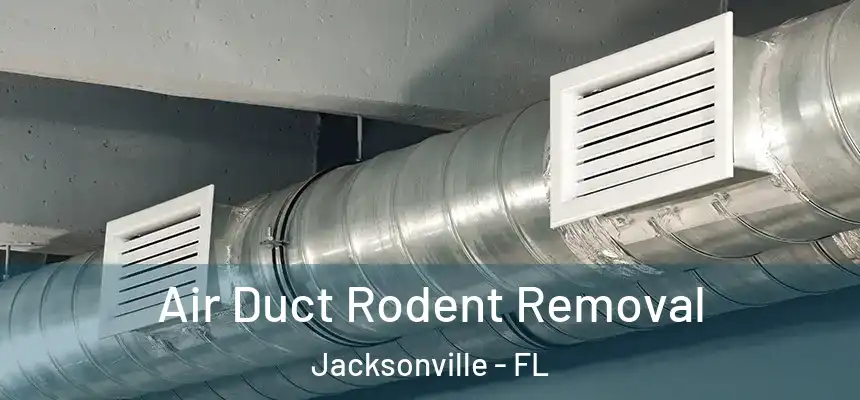  Air Duct Rodent Removal Jacksonville - FL