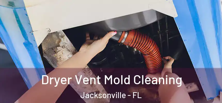  Dryer Vent Mold Cleaning Jacksonville - FL