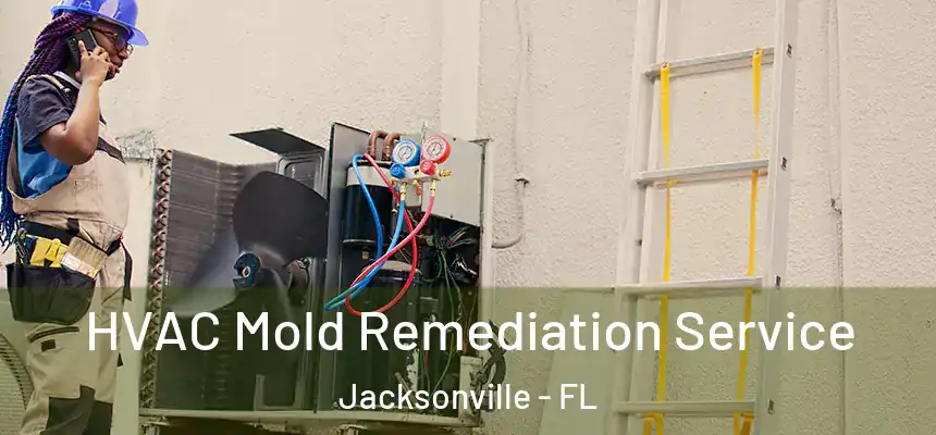 HVAC Mold Remediation Service Jacksonville - FL