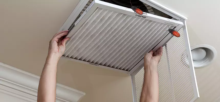 Our Insect Removal from Air Ducts Services in Jacksonville, FL