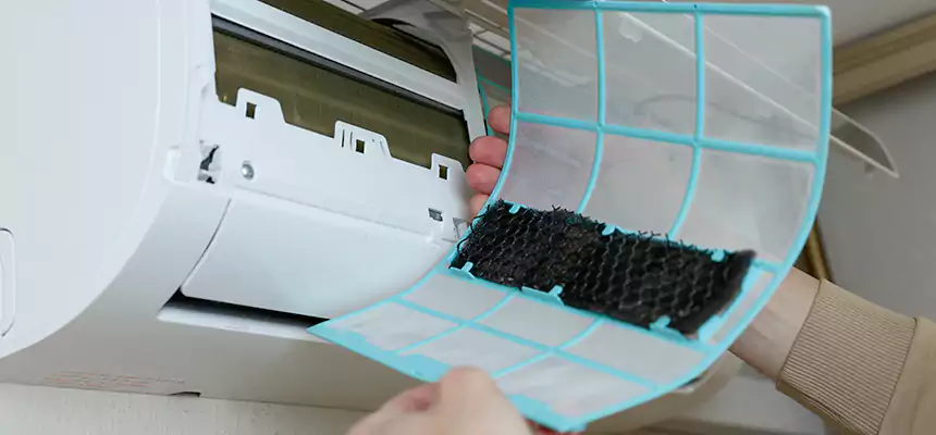 Gentle Ductwork Odor-Control Pet Dander Duct Cleaning in Jacksonville, FL