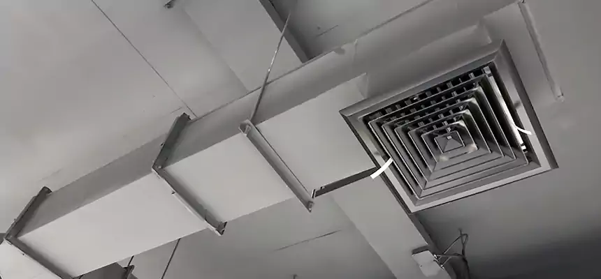 Our Rodent Droppings In Vents Services in Jacksonville, FL