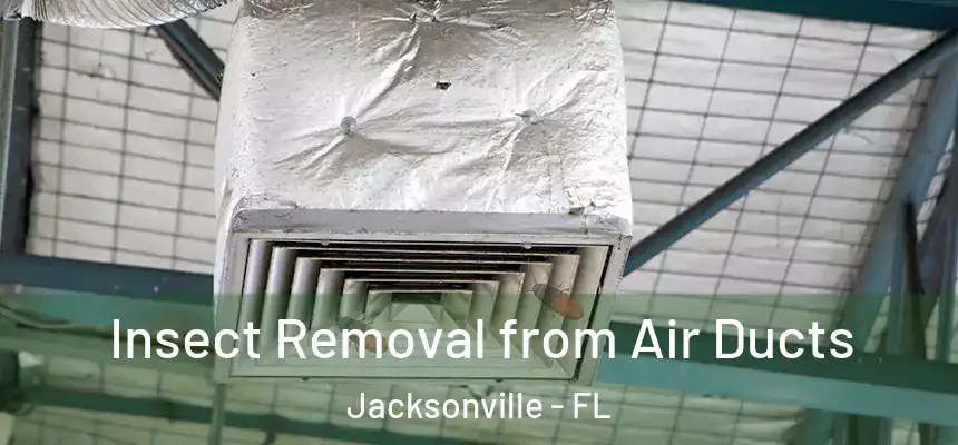  Insect Removal from Air Ducts Jacksonville - FL