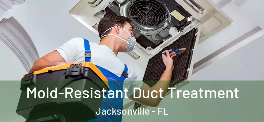 Mold-Resistant Duct Treatment Jacksonville - FL
