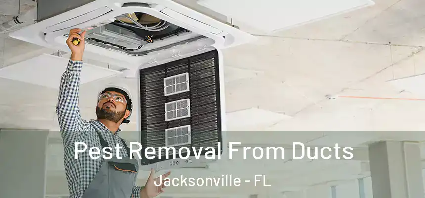  Pest Removal From Ducts Jacksonville - FL