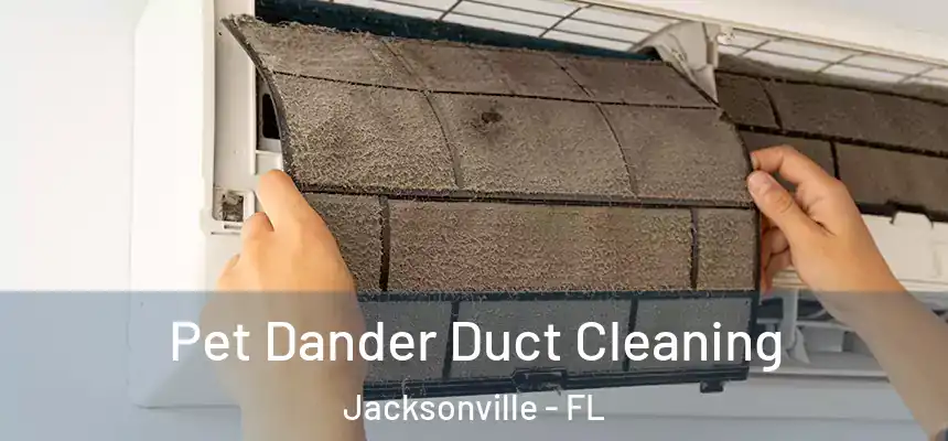  Pet Dander Duct Cleaning Jacksonville - FL
