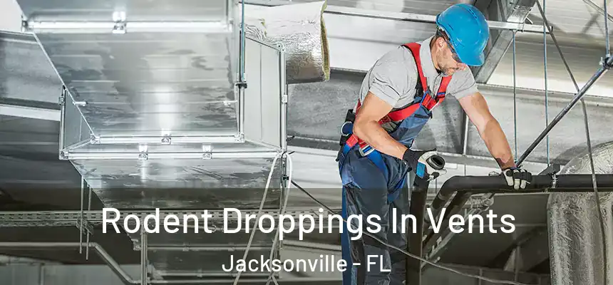 Rodent Droppings In Vents Jacksonville - FL