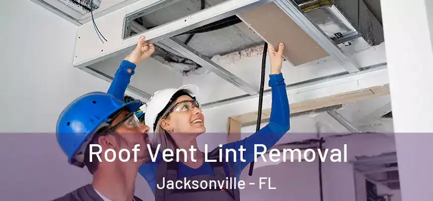  Roof Vent Lint Removal Jacksonville - FL