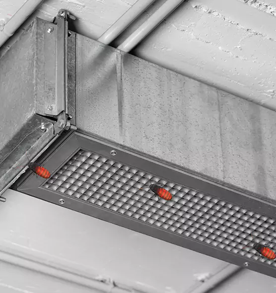 About Air Duct Cockroach Removal in Jacksonville, FL