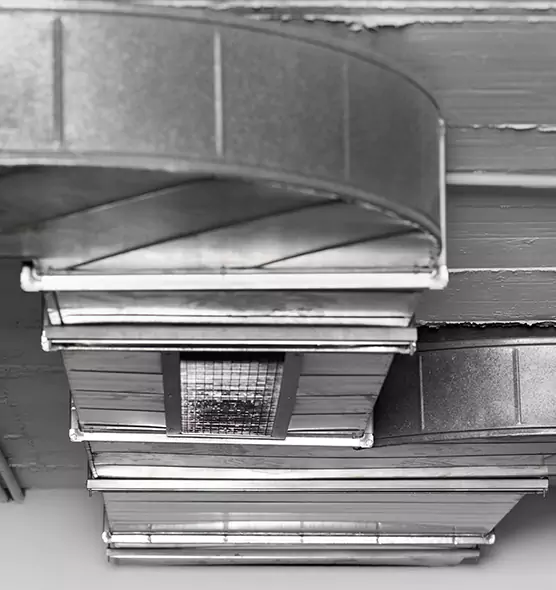 Professional Air Duct Pet Hair Removal in Jacksonville, FL