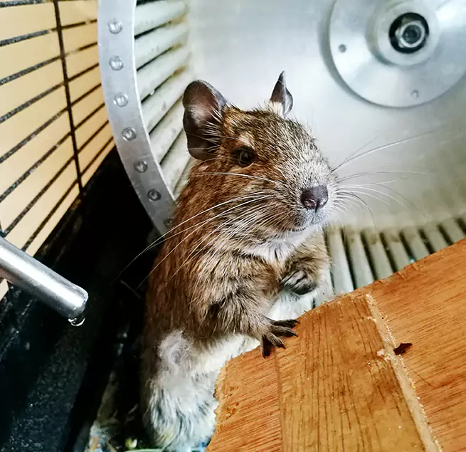 Why Homeowners & Businesses Trust Us Jacksonville, FL