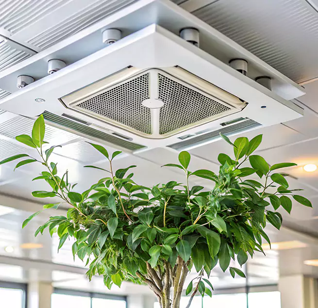 Why Homeowners & Businesses Trust Us in Jacksonville, FL