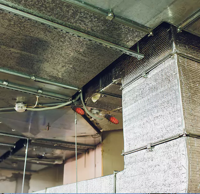 Why Homeowners & Businesses Trust Us Jacksonville, FL?