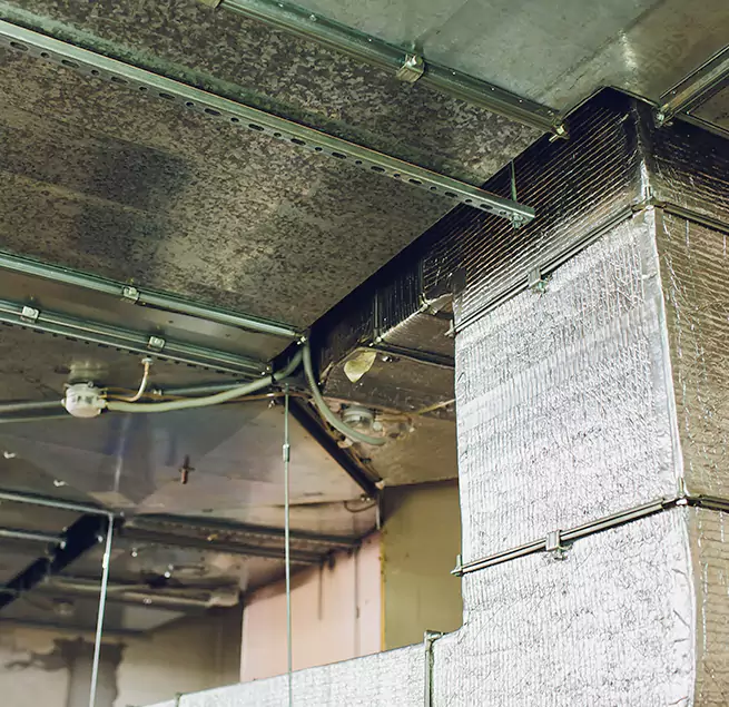 Why Homeowners & Businesses Trust Us in Jacksonville, FL?