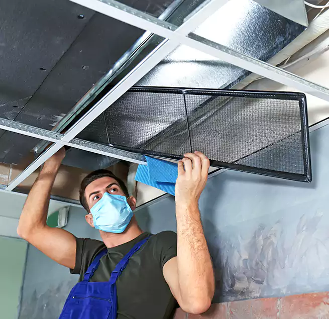 Why Homeowners Businesses Trust Us in Jacksonville, FL