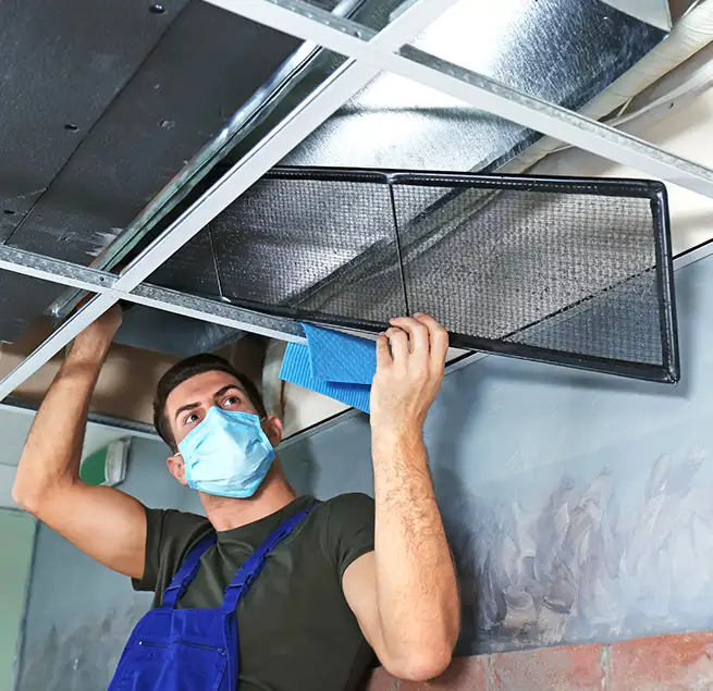 Why Homeowners & Businesses Trust Us in Jacksonville, FL?